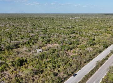 Terreno / Lote · 1ha · Terreno en Venta en Mérida, Macrolote, Sierra Papacal, 1 Hectarea