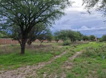 Terreno / Lote · 800m² · Terreno en Venta en Dolores del Rio Durango