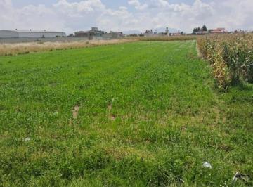 Terreno / Lote · 3200m² · Venta de Terreno en Av Tecnológico en San Miguel Totocuitlapilco Metepec