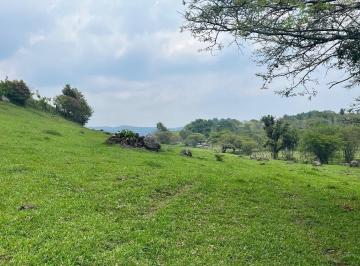 Terreno / Lote · 240000m² · Venta de 24 Hectáreas en Xico