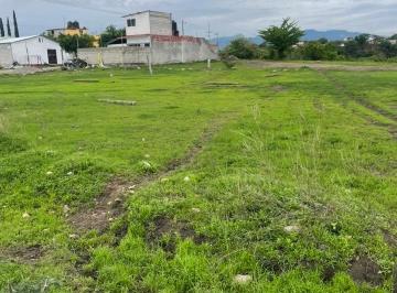 Terreno / Lote , Atlatlahucan · Terreno Fracc Oasis