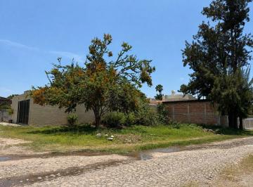 f9f64e1b5e5e4977e6283c157e5276937b7bdfeb39a66aef75e53668e9f446a5 · Terreno en Riberas del Pilar San Antonio Tlayacapan (Ajijic)