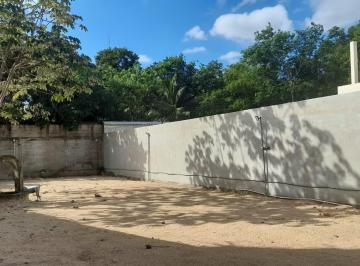 Terreno / Lote · 500m² · 1 Recámara · 1 Estacionamiento · Terreno en Renta de 500 m² Sobre Av Colosio, Cancún