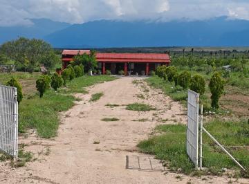 Quinta · 8346m² · 3 Recámaras · Quinta Campestre en Venta en Gral. Cepeda, Coah