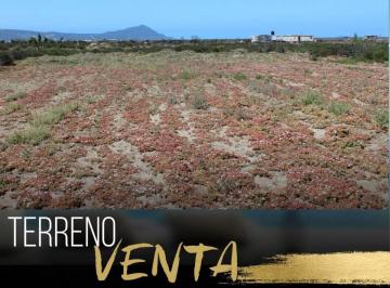 Terreno / Lote , Ensenada · Terreno en Venta en Maneadero 360 m² – Área El Salitral, Ensenada
