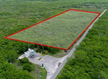 58a15eafbfce7db0028c88957198e6e5a977bacc685a6315e63106e840f982be · "4.5 Hectáreas en Yucatán, a 15 Minutos del Tren Maya y Cerca de Izamal"