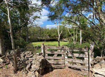 0eaacda7128127278d147f537aa74f91d6ce2ae027798e711c0e4bf6fbd393e6 · Rancho Cerca de Tizimín con Cenote Propiedad Privada