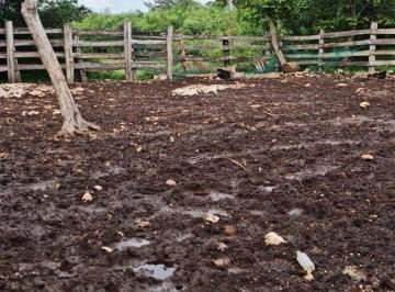 bafe633883089a4ef2cb409d3bce52b427b54e8275630cfbd0851da8f6d033c8 · Rancho Cerca de Chichén Itzá Propiedad Privada Sobre Carretera