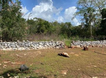 4ae96759a2b469479eac7d6220b45e1f320a558d52382889dd20dacba8f69ad3 · Rancho en Mayapan de 111 Ha Propiedad Privada