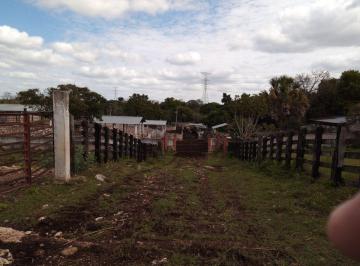 686e32e658de650b8990f4339e65b834966152bc07857bf92748b884fedd98b3 · Rancho con Luz a 45 Minutos de Merida 56 Ha Propiedad Privada