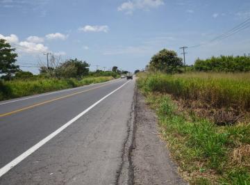 Terreno / Lote , Tlalixcoyan · Venta ️! Hectárea en Paso del Toro, Orilla de Carretera