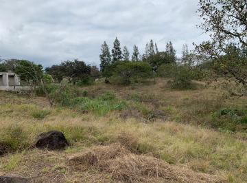 Terreno / Lote , Emiliano Zapata · Terreno de 3260 m² en Venta en El Lencero, Veracruz
