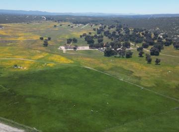 Terreno / Lote · 2200m² · Venta de Terrenos en Rancho Las Juntas en El Hongo, Tecate