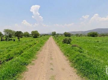 Terreno / Lote · 12043m² · Terreno en Venta en San Juan Tizahuapan, Hgo.