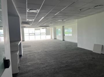Oficina · 345m² · 5 Estacionamientos · Oficina en Renta Insurgentes