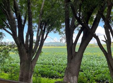 Terreno / Lote , El Marqués · Venta Excelente Terreno de 50 Ha Donde Esta El Futuro de Queretaro El Marquez. Precio por Ha