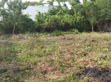 Terreno / Lote · 200m² · Terreno de 200 m² Zona Cedros en Venta