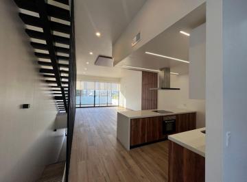 Casa de 3 habitaciones, Tijuana · Casa Nueva en Renta Hipodromo Tijuana