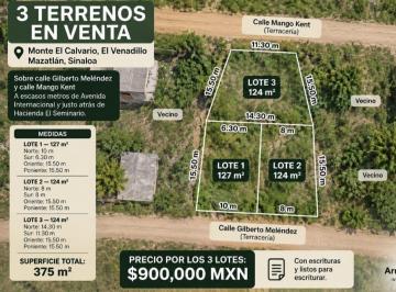 N/A · 3 Terrenos en Venta en El Venadillo