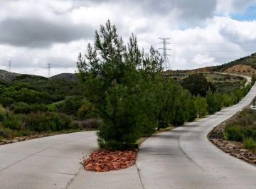 N/A · Propiedad en Venta - Mex - 2d, Ejido Nueva, Tecate, Bc, México