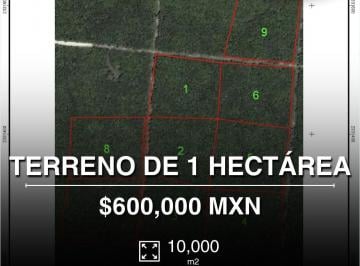 Terreno / Lote · 10000m² · Se Vende Terreno de 1 Hectárea en Av Leona Vicario, Cún