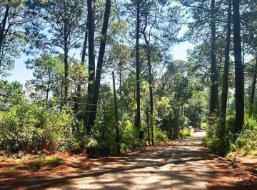 395a7b9d519c0208c150d5697b6ea89da5917919380308d9631bdbb5bca22d8a · Excelente Oportunidad Venta Terreno Valle de Bravo