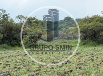 Terreno / Lote , San Juan del Río · Terreno en Venta en El Chaparro Sobre Carretera Amealco de 42,000 m²