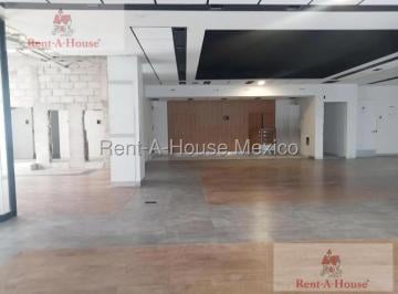 Local comercial · 325m² · Local en Renta en San Francisco Cuautlapan Gis 25 - 2784
