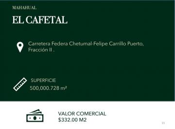 Terreno comercial , Felipe Carrillo Puerto · El Cafetal