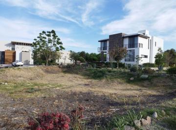Terreno / Lote , Corregidora · Terreno en Venta Balvanera Palermo, Corregidora Querétaro
