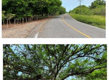 Terreno / Lote · 47ha · Terreno en Rancho o Rancheria El Corralito