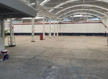 Bodega comercial , Cuauhtémoc · Bodega en Renta en Santa Maria La Ribera 1,312 m²