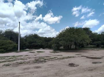 Terreno / Lote , Durango · ¡Oportunidad de Inversión en Durango! Terreno Para Finca en Col. Calera