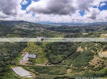 Captura de pantalla 2026-02-17 125010.png · Rancho Ranpat: Terreno Comercial en Venta en Coatepec Harinas
