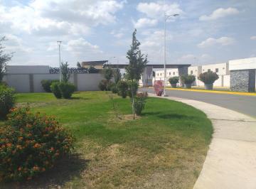 Terreno / Lote · 167m² · Terreno en Venta en Los Olivos, Gómez Palacio, Dgo.