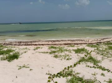 Terreno / Lote · 400m² · Venta Terreno Frente Al Mar en San Benito Yucatan