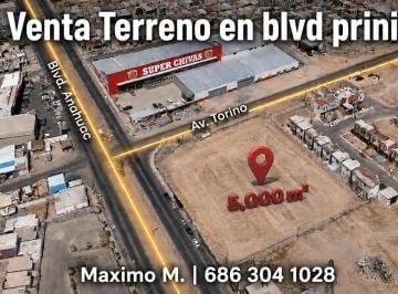 Terreno / Lote , Mexicali · Terreno Super Comercial en Venta