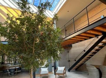 Casa · 430m² · 3 Recámaras · Casa en Venta en San Miguel de Allende Guanajuato