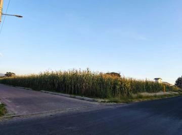Terreno / Lote , Santa Isabel Xiloxoxtla · Terreno de 8120 m² en Venta en Barrio Contla