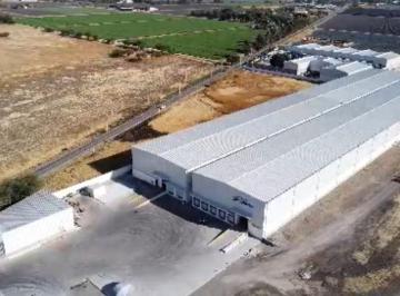 Foto 1 · Bodega en Renta en Santa Rosa Plan Ayala Cerca San Pedro del Los Hernández, Leon, Gto. Son 5 Ande.