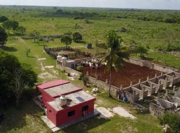 Rancho , Tizimín · Venta de Rancho de 75has en El Norte de Tizimin Yucatan
