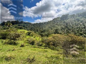 Terreno / Lote · 400000m² · Terreno - Pueblo Xico