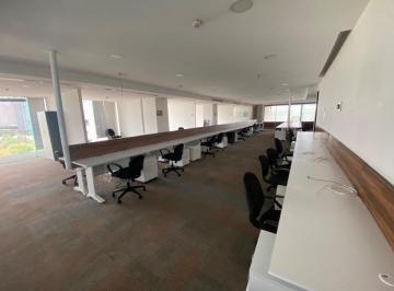 Oficina · 450m² · Oficina en Renta en Campos Eliseos Amueblada Preciosa y Elegante