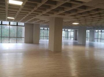 Oficina · 900m² · 30 Estacionamientos · Oficinas Acondicionadas, Amplias y Funcionales ¡Conocelas!