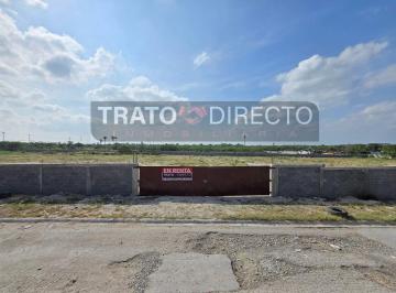 Terreno / Lote , Reynosa · 1.5 Hectáreas en Renta En: en Ribereña II, a Ún Costado de Rancho Grande. “bardeado”