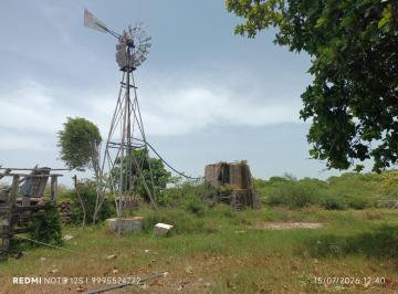 Rancho , Tizimín · Ranchos en Venta en Tizimín Yucatán 2100 Ha