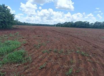 Rancho , Tizimín · Ranchos en Venta en Tizimín, Yucatán | Desde 160 Hasta 4,800 Hectáreas