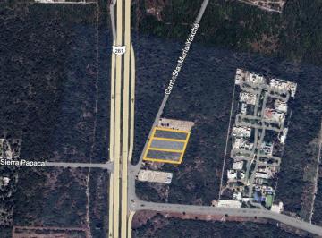 1 · Terreno (2) en Venta en Xcanatun
