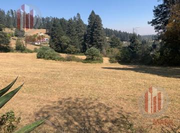 Terreno / Lote · 4000m² · Venta Terreno Propiedad Privada Doditay Jilotzingo
