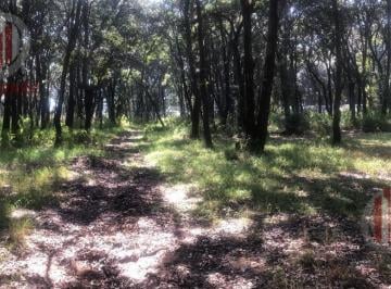 Terreno / Lote · 1100m² · Venta Terrenos en Jilotzingo
